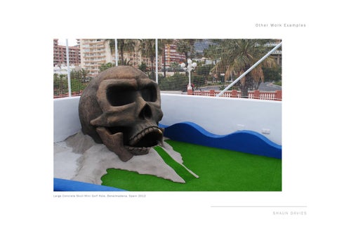 Shaun Davies - Sculptor / Scenic Artist Portfolio (2015) 第 22 页