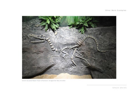 Shaun Davies - Sculptor / Scenic Artist Portfolio (2015) 第 23 页