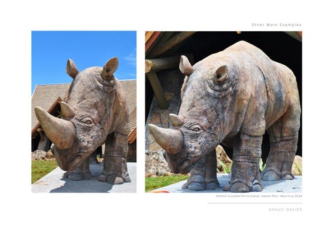 Shaun Davies - Sculptor / Scenic Artist Portfolio (2015) 第 24 页