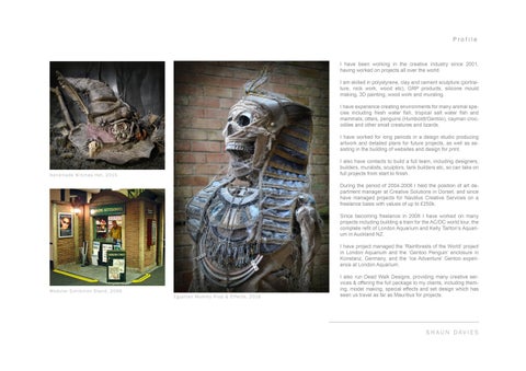 Shaun Davies - Sculptor / Scenic Artist Portfolio (2015) 第 2 页
