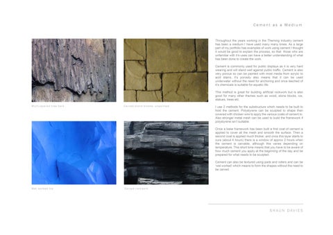 Shaun Davies - Sculptor / Scenic Artist Portfolio (2015) 第 3 页