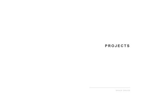 Shaun Davies - Sculptor / Scenic Artist Portfolio (2015) 第 4 页
