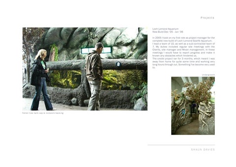 Shaun Davies - Sculptor / Scenic Artist Portfolio (2015) 第 5 页