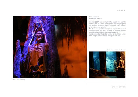 Shaun Davies - Sculptor / Scenic Artist Portfolio (2015) 第 6 页