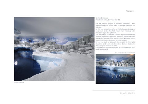 Shaun Davies - Sculptor / Scenic Artist Portfolio (2015) 第 9 页