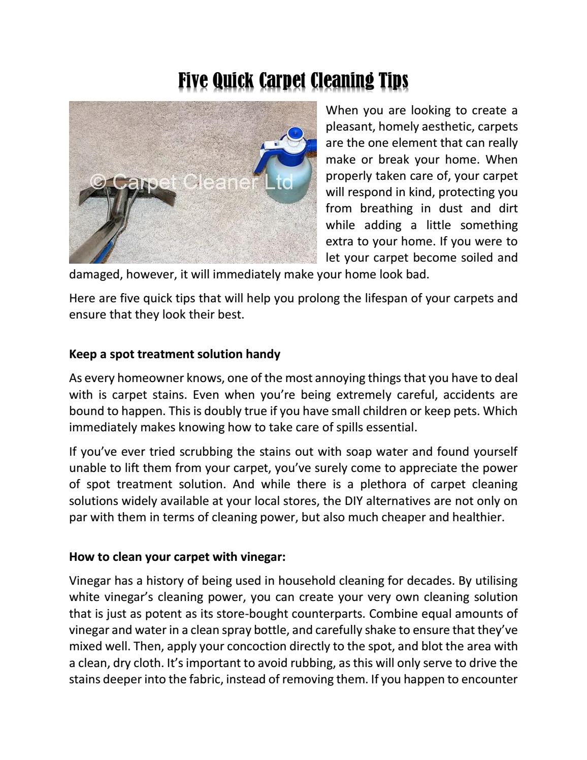 Five Quick Carpet Cleaning Tips by Ivan Nikolov Issuu