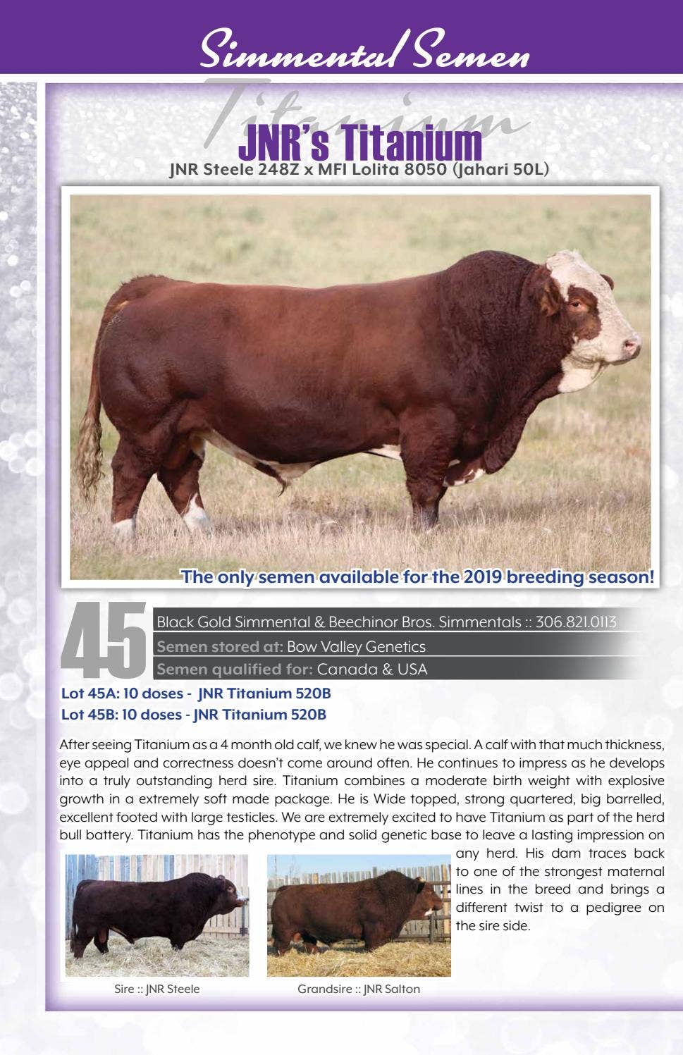 New Year's Resolution Frozen Genetics Sale :: Volume 7 by Bohrson