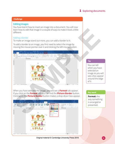 ICT Starters Next Steps 1 sample by Cambridge International Education ...