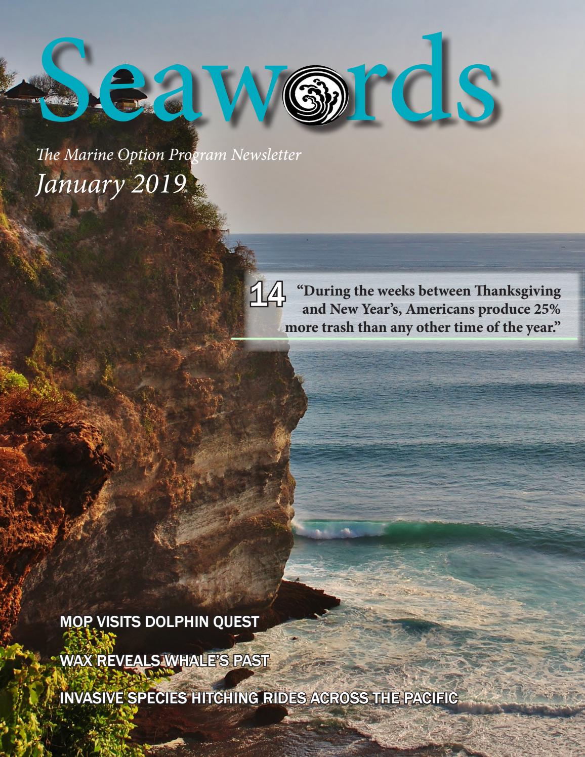 air max command męskie