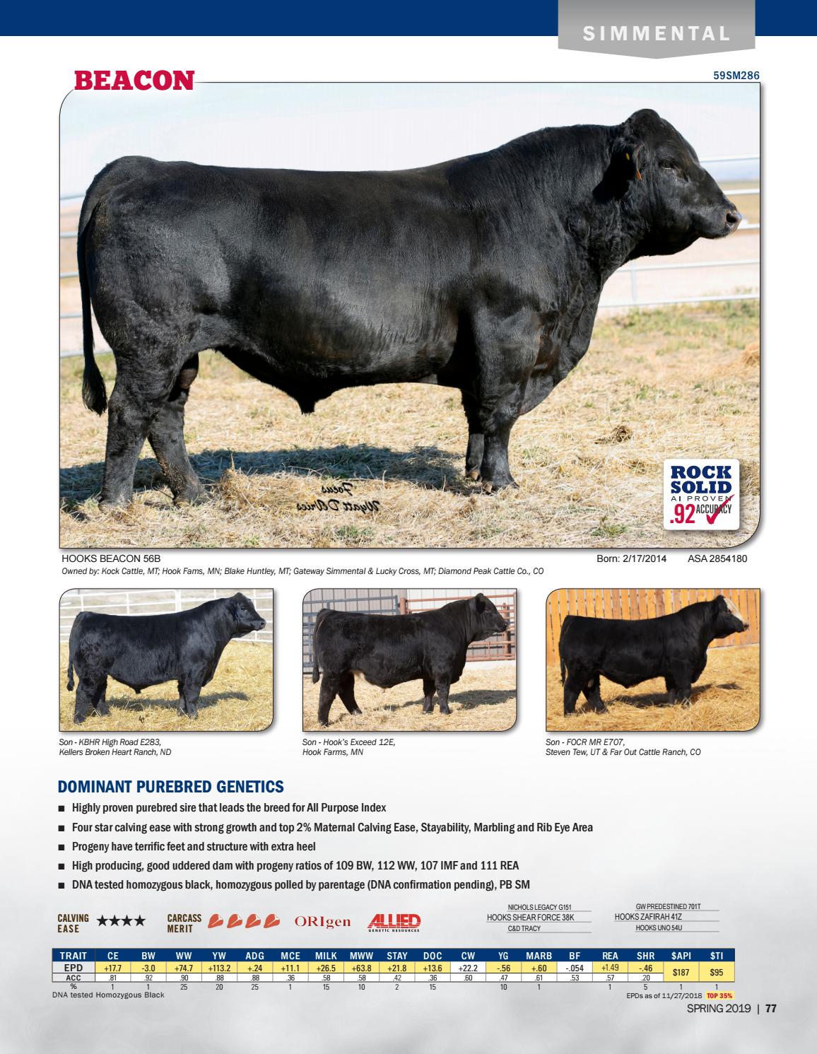 2019 US Beef Sire Directory by ABS Global, Inc. Issuu