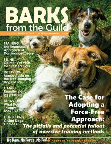 BARKS from the Guild January 2019 by The Pet Professional Guild - Issuu