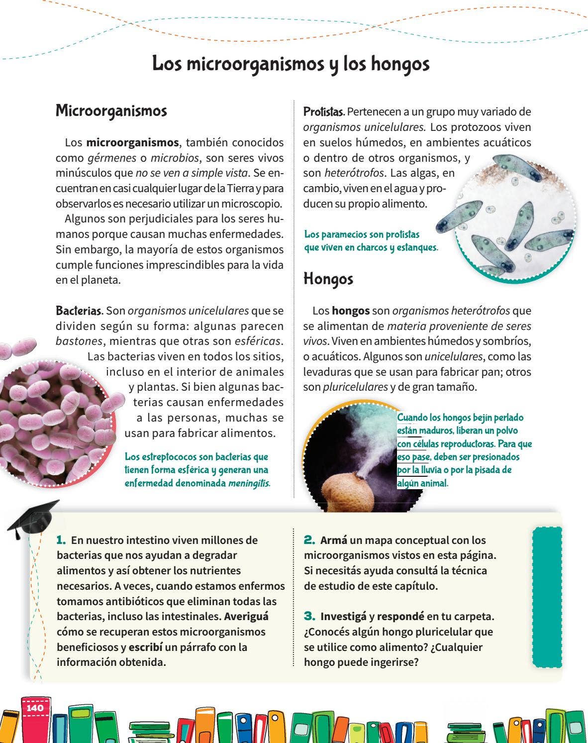 Manual en Áreas 4 BON 2.º Edición Actualizada 2018 - ¡Recorré el libro! by  Mandioca - Issuu