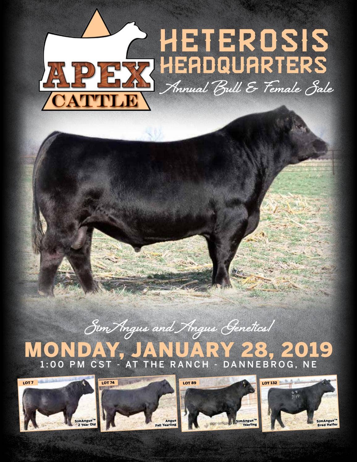 2019 Apex Cattle Sale Catalog by Ranch House Designs Issuu