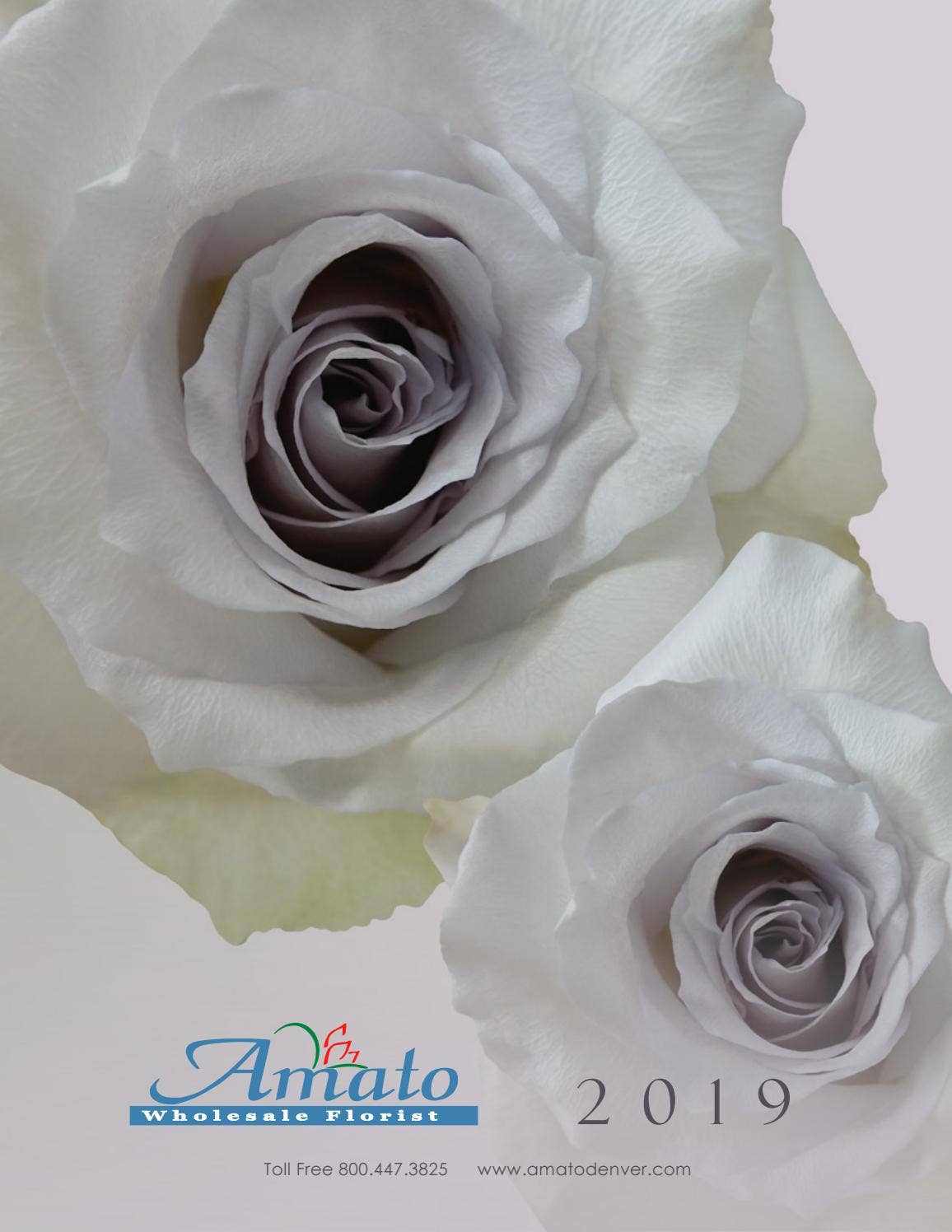 2019 Amato Supplies Catalog by Cut Flower Wholesale, Inc. Issuu
