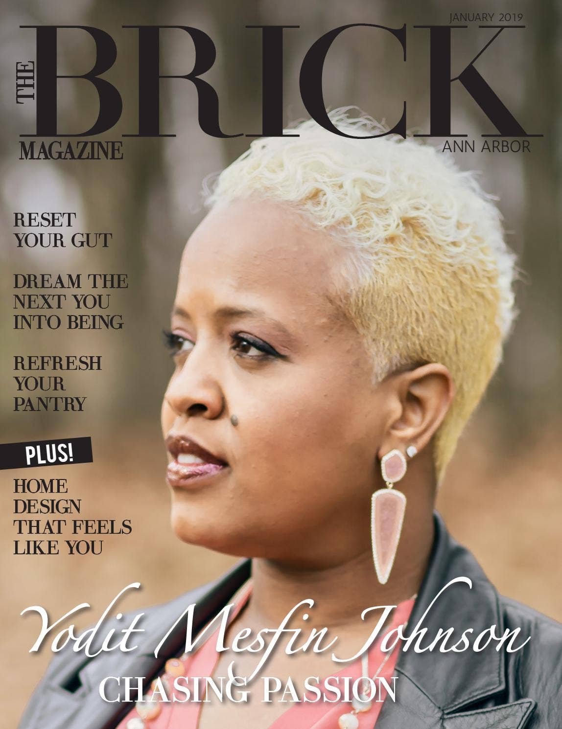 The Brick Magazine January 2019 by The Brick Magazine Ann Arbor - Issuu