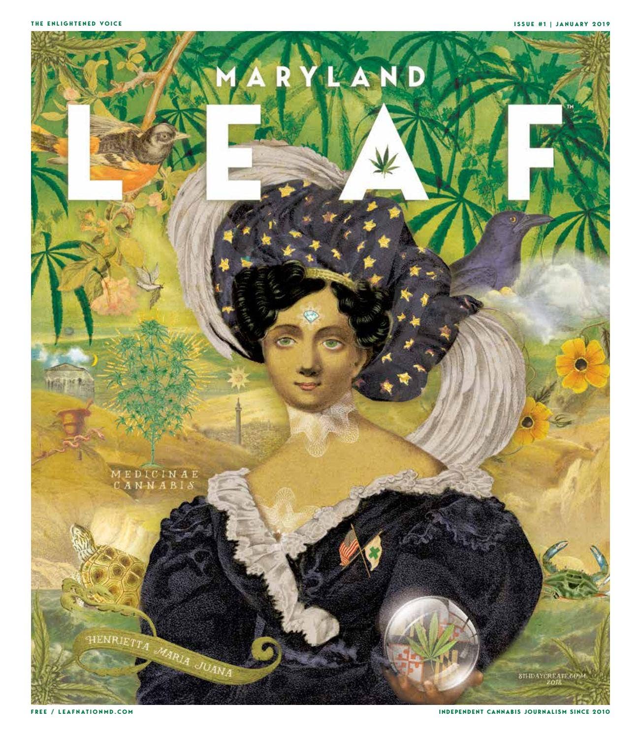Maryland Leaf - Jan 2019 Issue #1 by Northwest Leaf / Oregon Leaf ...