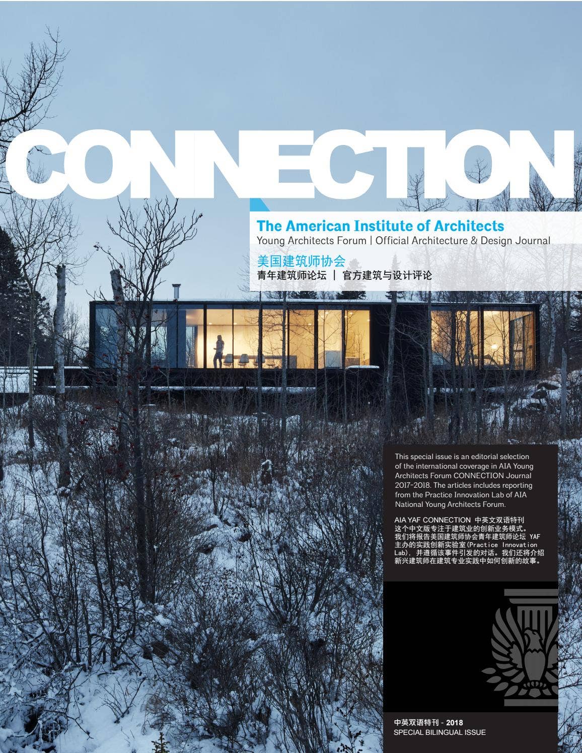 YAF CONNECTION 中英双语特刊2018 by AIA Young Architects Forum - Issuu