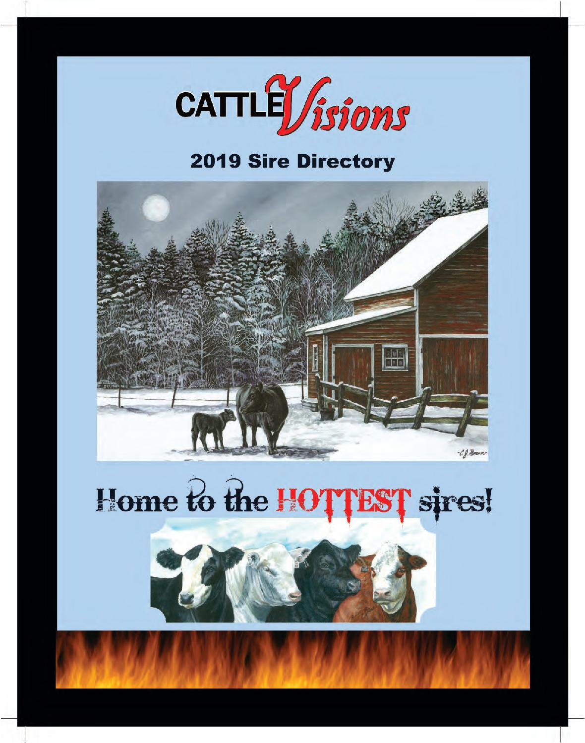 2019 Cattle Visions Sire Directory by EDJE Issuu