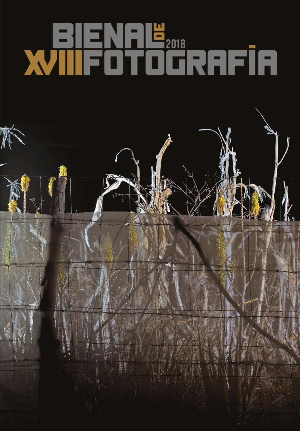 Bienal de Fotoperiodismo + CD 希少本 XVIII Bienal de Fotografía by Centro de la Imagen - Issuu