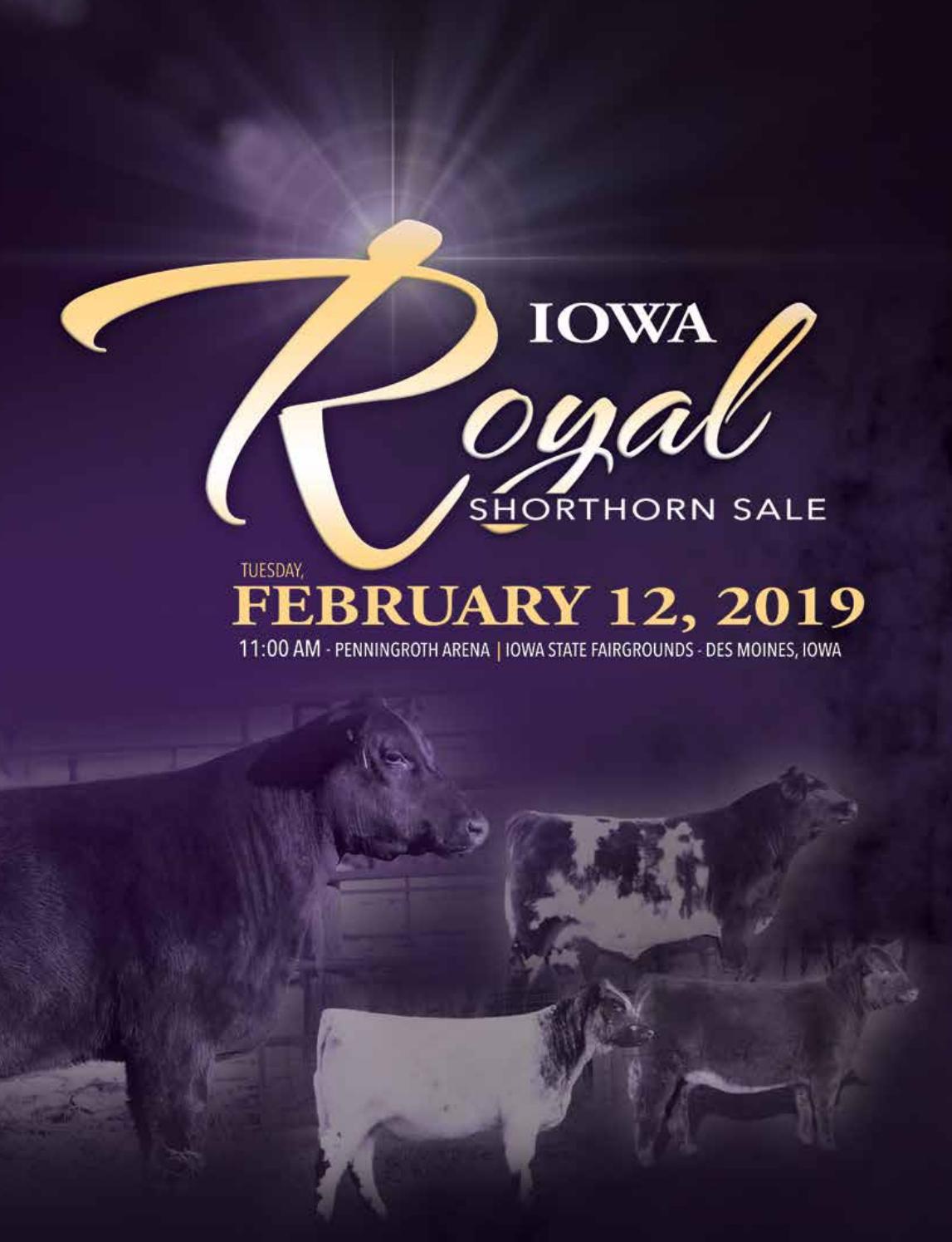 2019 Iowa Royal Sale Catalog by Ranch House Designs Issuu