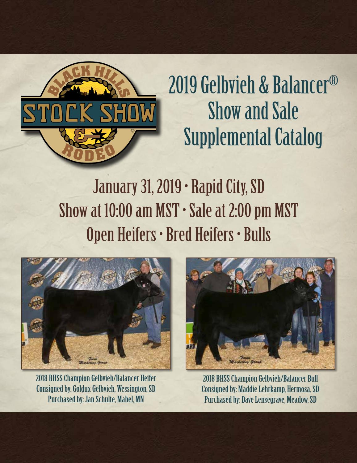 2019 Black Hills Stock Show Gelbvieh & Balancer Show and Sale