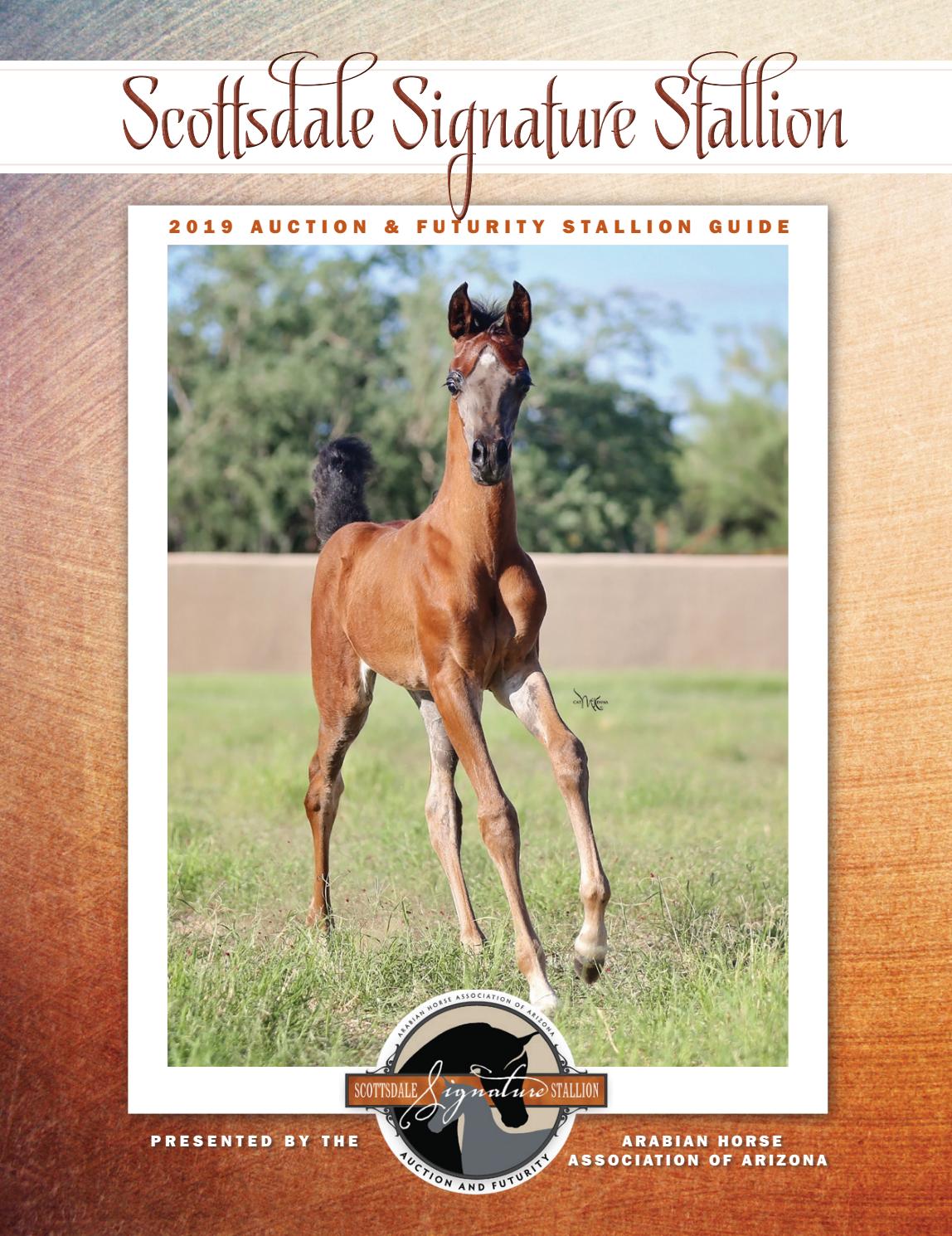 Scottsdale Signature Stallion 2019 Auction & Futurity Stallion Guide by  Arabian Horse World - Issuu