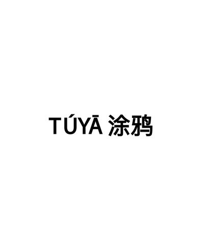 TUYA - 中国 grafitti × Street Art 第 3 页