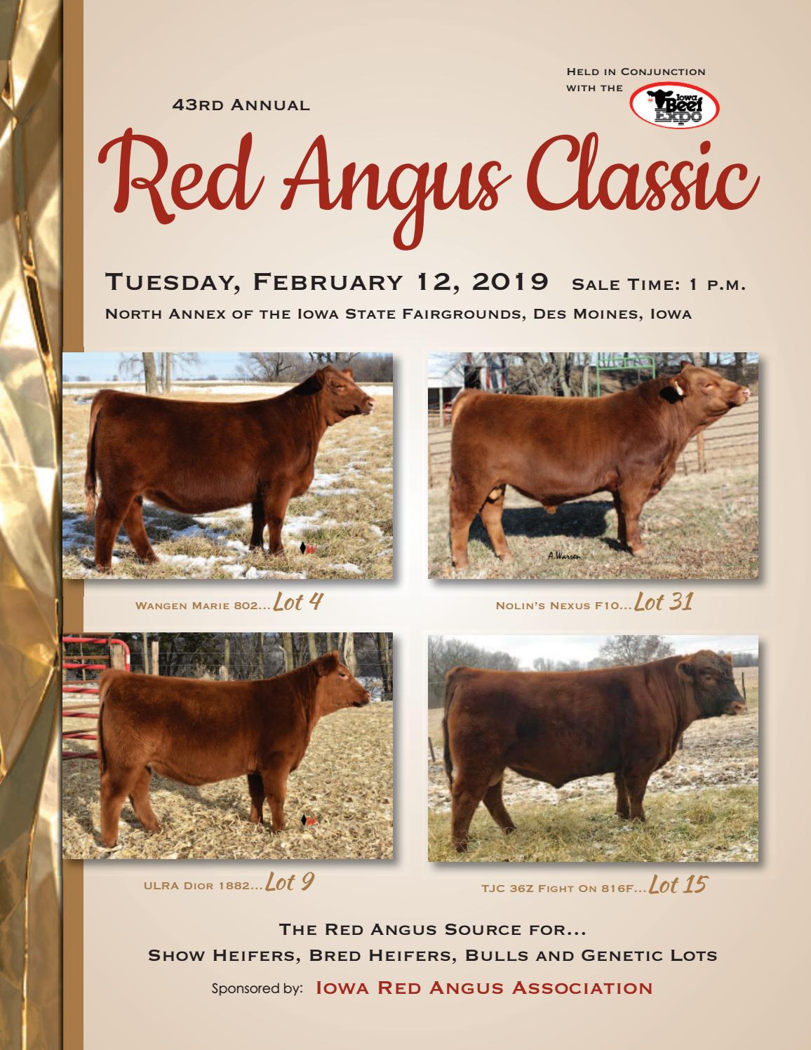 Iowa Beef Expo Red Angus Sale by Tracy McMurphy Issuu
