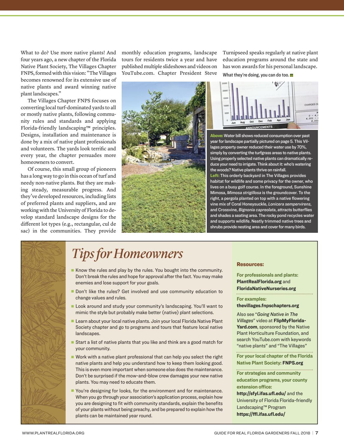 Guide For Real Florida Gardeners 18 By Fann Issuu