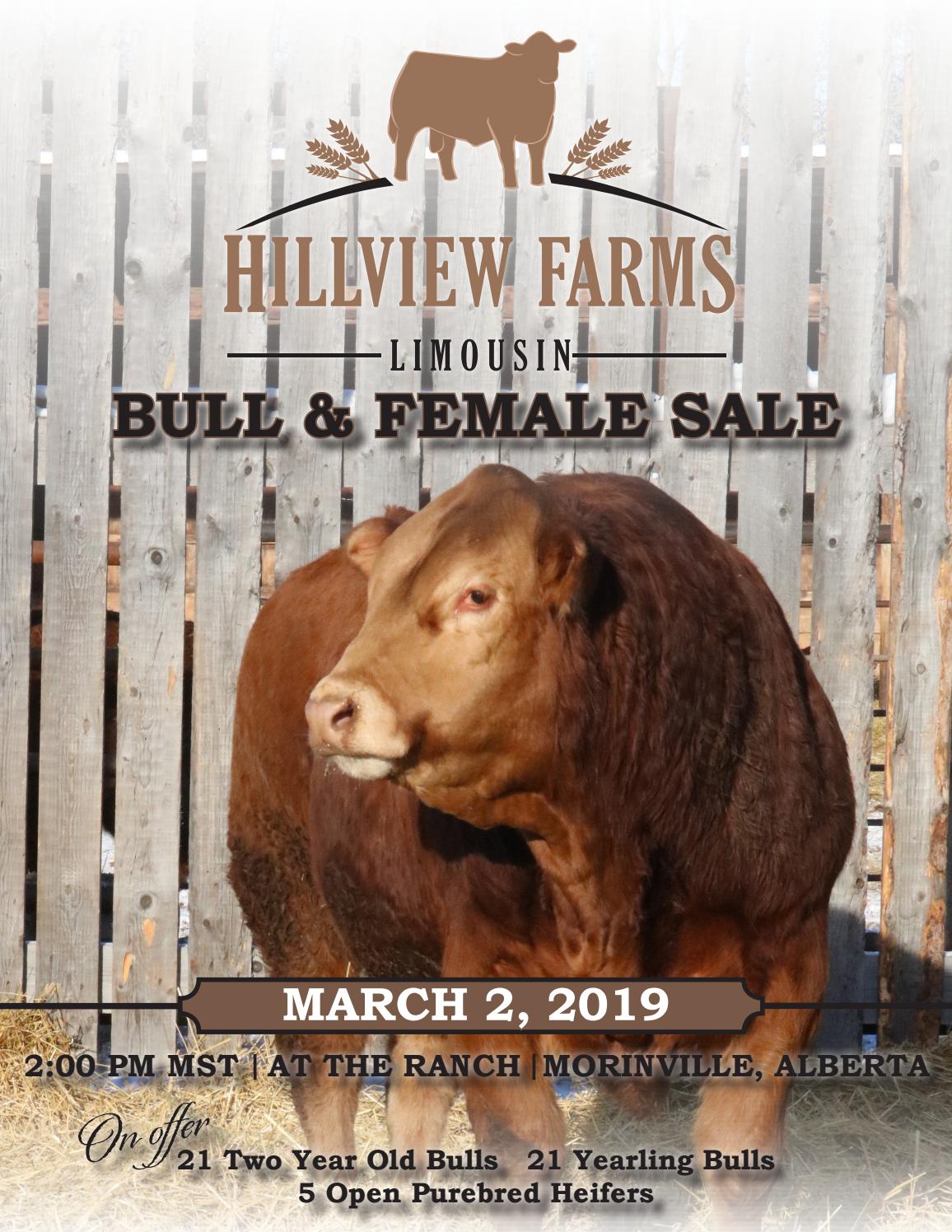 Hillview Farms 2019 Bull & Female Sale by Hillview Farms Issuu