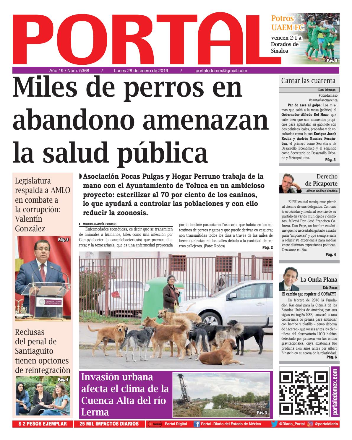 Edicion Impresa 28 De Enero De 2019 By Portal Diario Del Estado De Mexico Issuu issuu