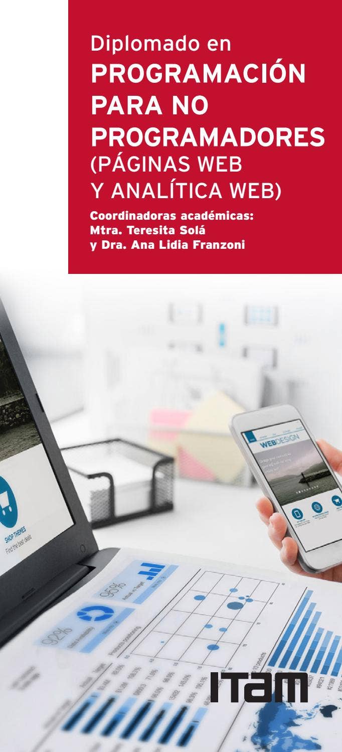 Diplomado en Programación para no Programadores (páginas Web y ...