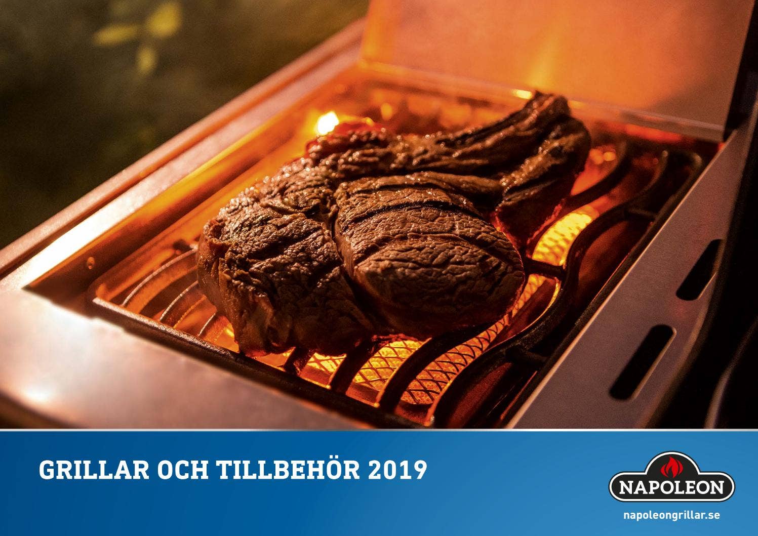 Napoleon Katalog 2019 by Woody Bygghandel Issuu