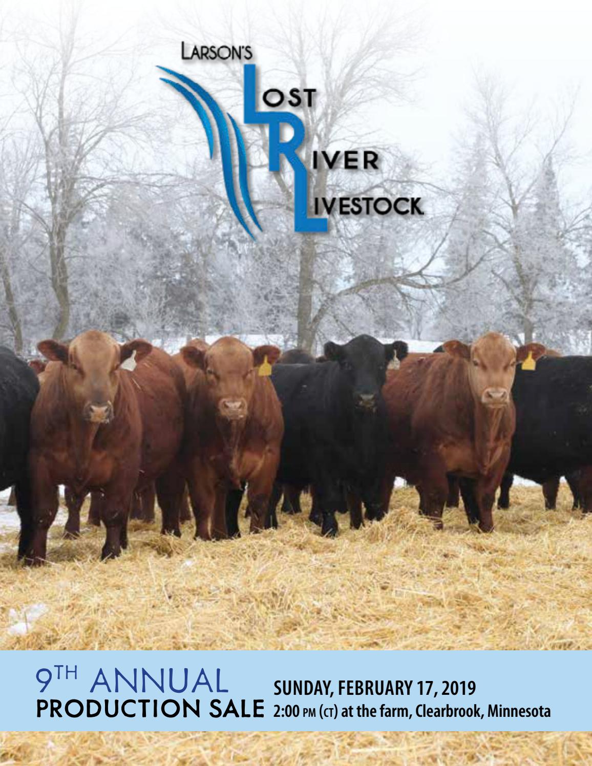 Larson's Lost River Livestock 9th Annual Production Sale by American