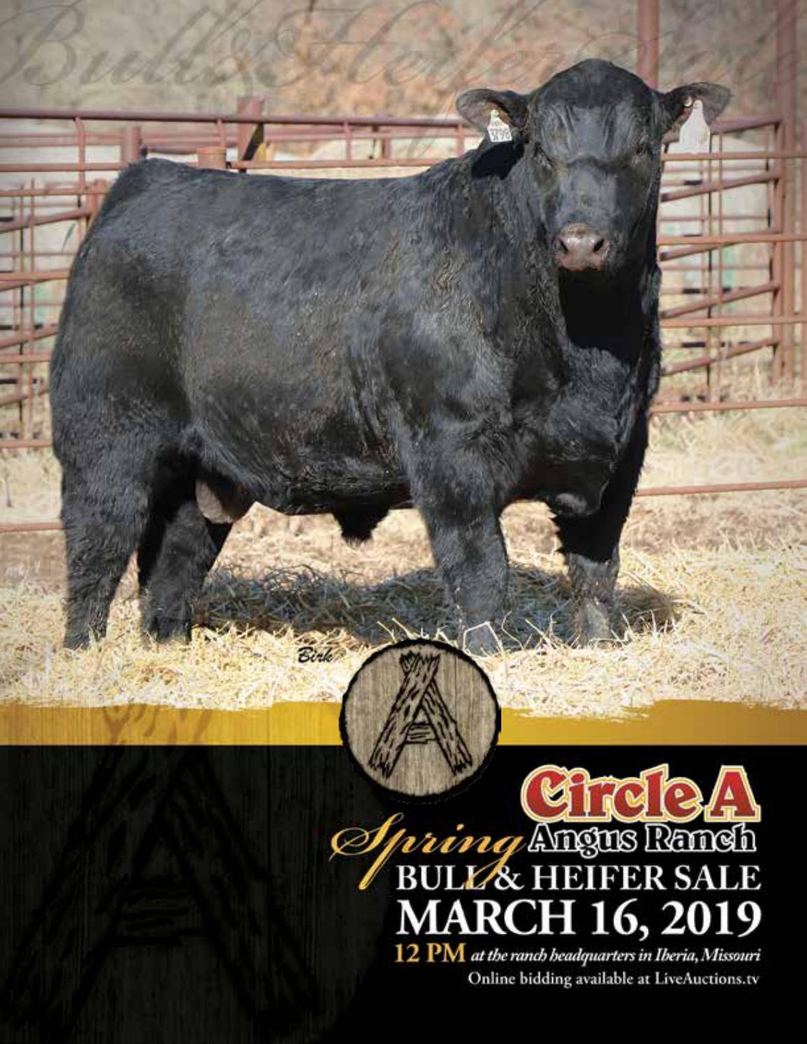 Spring 2019 Circle A Ranch Sale Catalog by Ranch House Designs Issuu