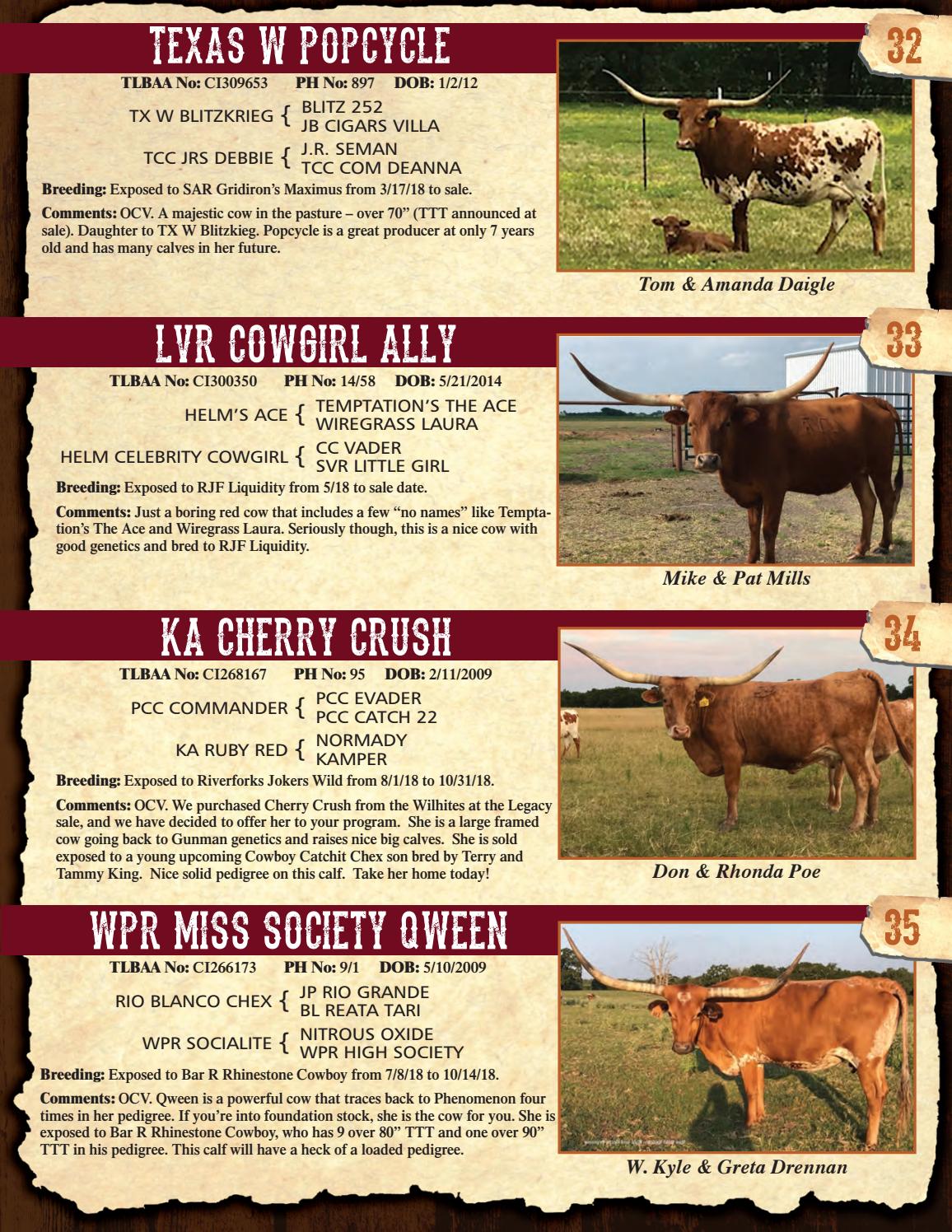 2019 Cattle Baron's Premier Longhorn Sale Catalog by Texas Longhorn