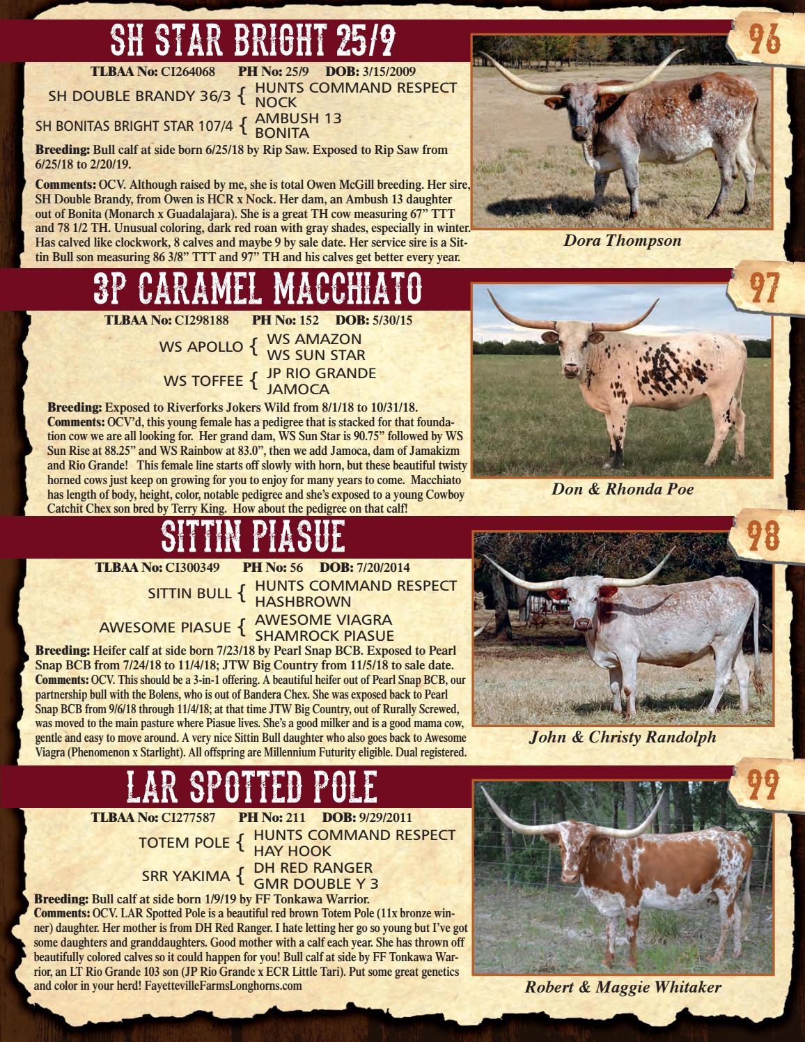 2019 Cattle Baron's Premier Longhorn Sale Catalog by Texas Longhorn