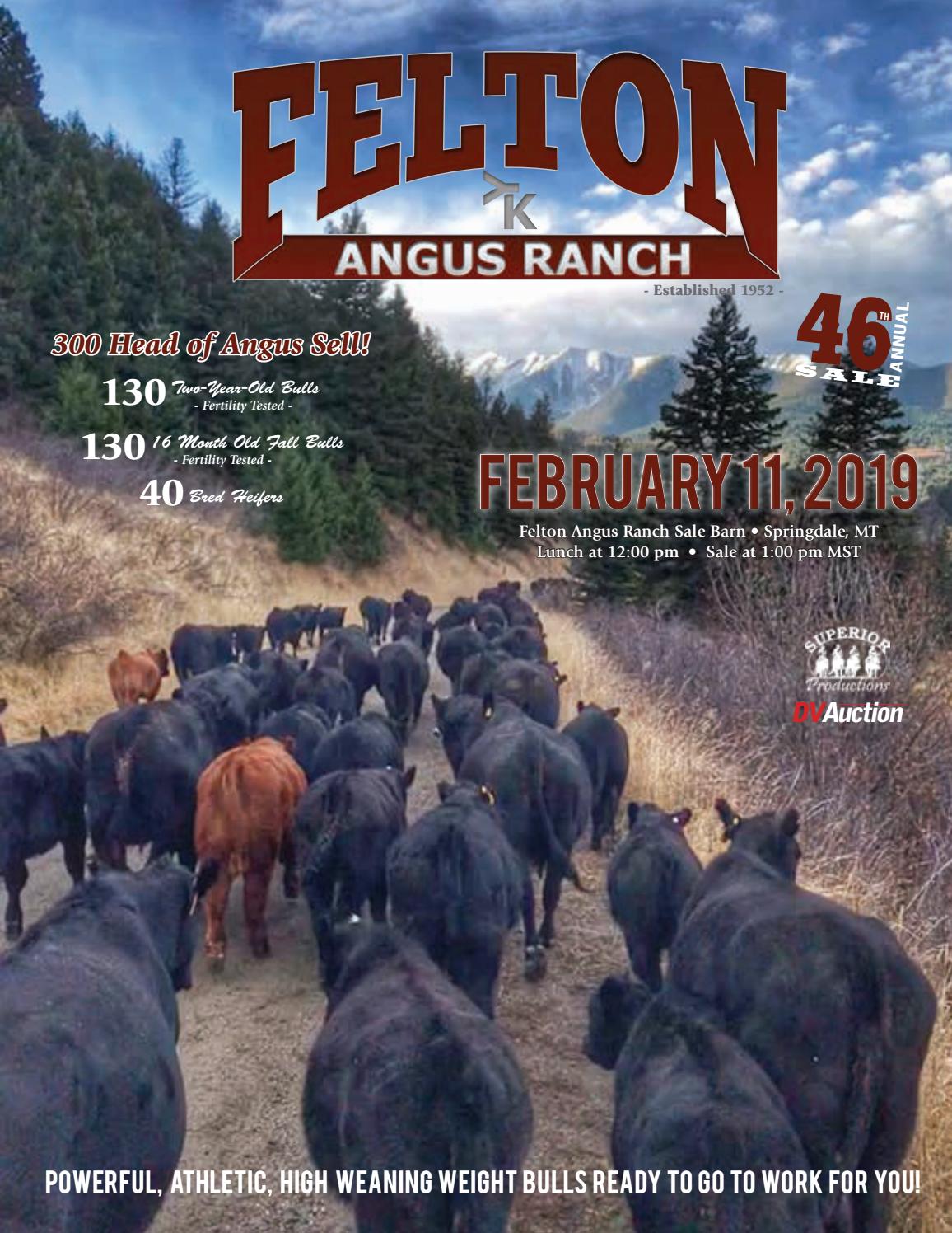 Felton Angus Ranch 2019 Sale Catalog by EDJE Issuu