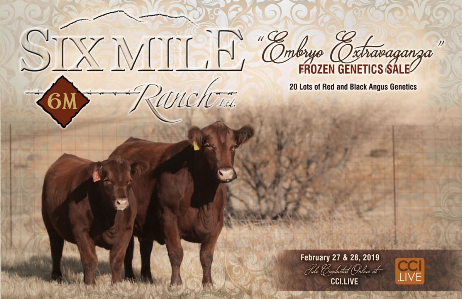 Six Mile Ranch "Embryo Extravaganza" Frozen Sale by Today's