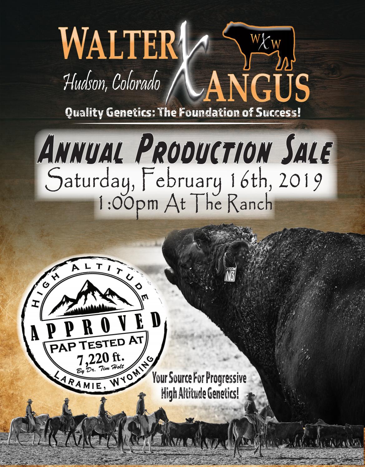 Walter Angus 2019 Bull Sale Catalog by Walter Angus Issuu