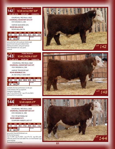 Chittick Family Bull Sale 2019 by DLMS-Cattlevids.ca - Issuu