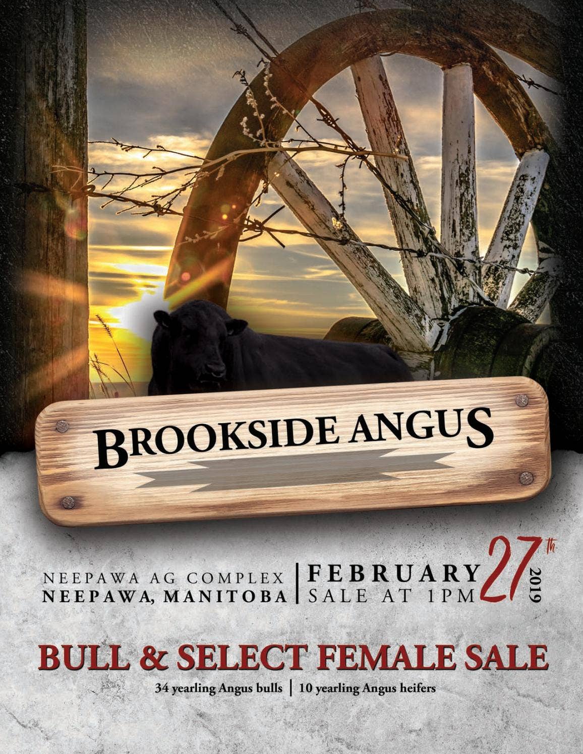 Brooksside Angus Bull & Select Female Sale 2019 by DLMS-Cattlevids.ca ...