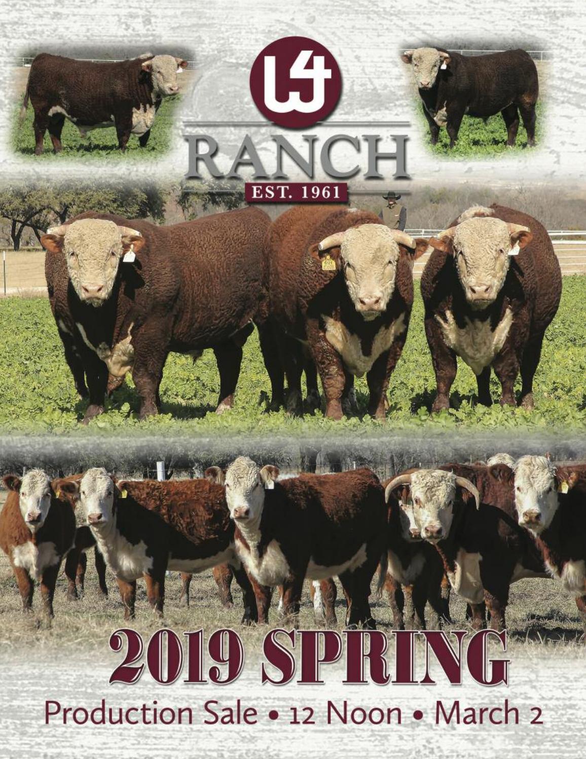 W4 Ranch Spring 2019 Sale Catalog by Ranch House Designs Issuu