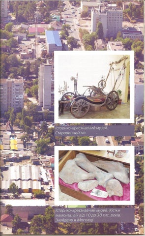 Irpin-2012 presentation 家具手册 /Ирпень 2012 (фотоальбом-презентация) 第 5 页