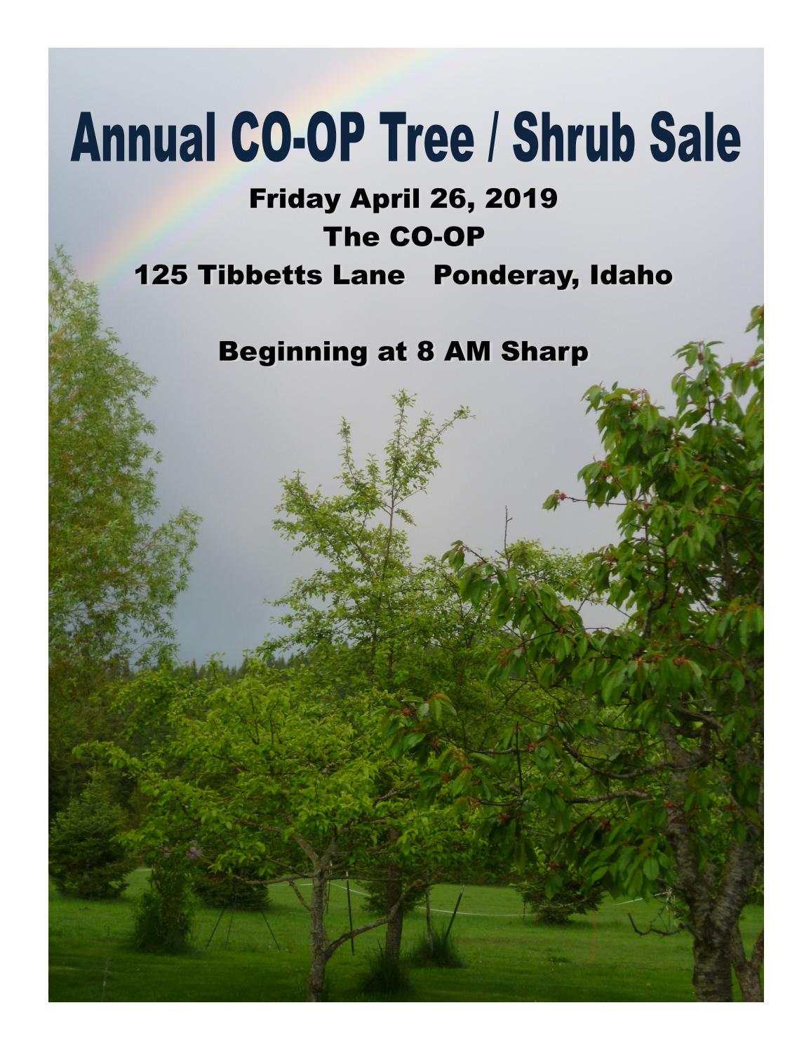 Tree Catalog by CoOp Gas and Supply Co Inc. Issuu