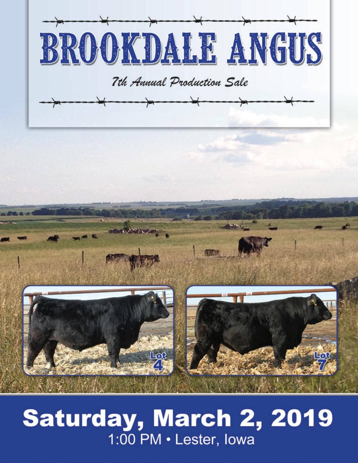 Brookdale Angus 2019 Catalog by RPI Promotions Issuu