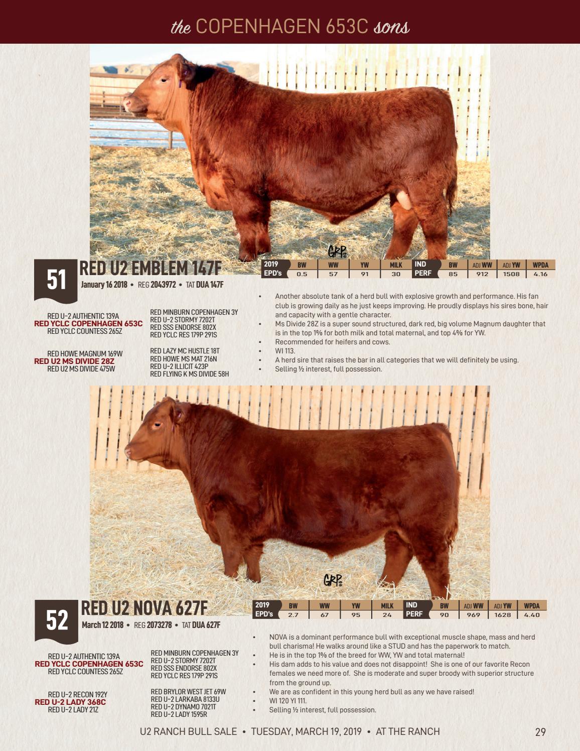 U2 Ranch Bull Sale 2019 by Bohrson Marketing Services Ltd. Issuu