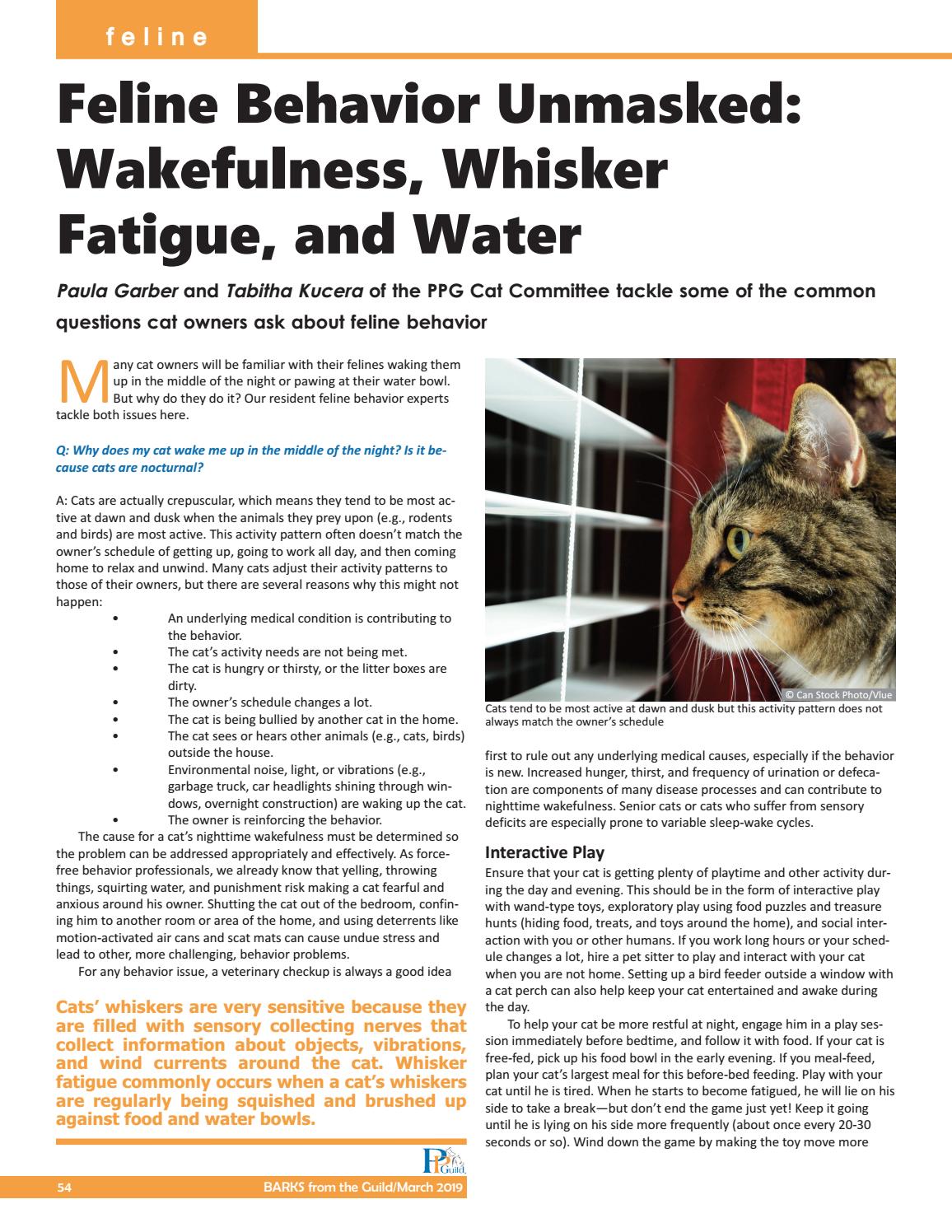 whisker fatigue water bowl