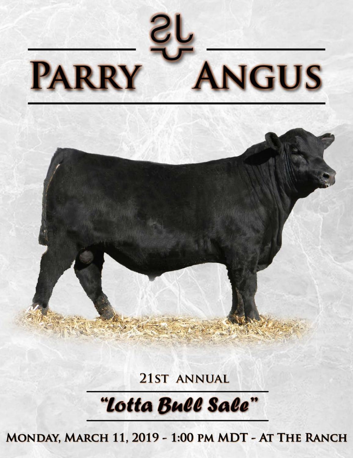 Parry Angus 2019 Bull Sale Catalog by LivestockDirect Issuu