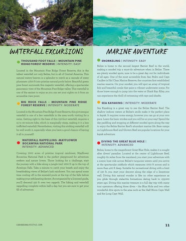 Caribbean Culture and Lifestyle 期 5 - 2019 第 11 页